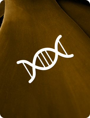 Genomic Instability